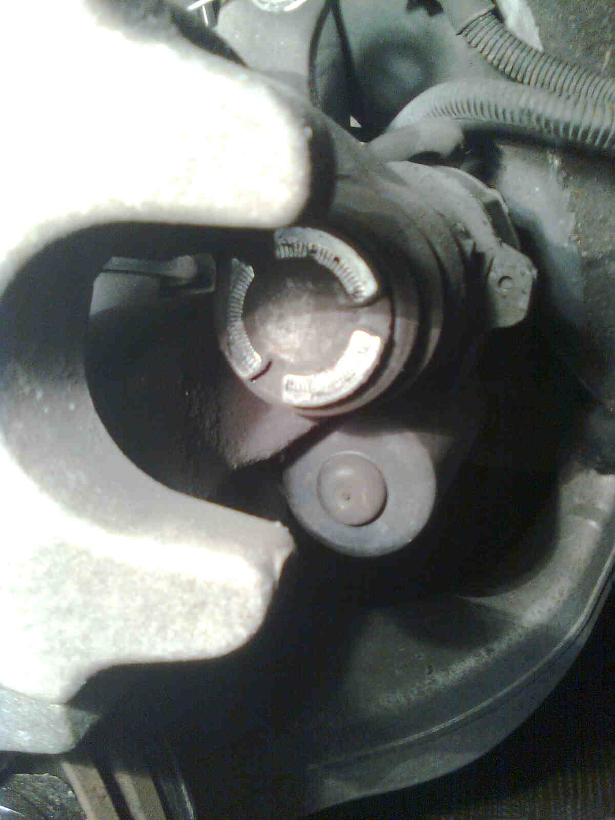 immag0284.jpg
