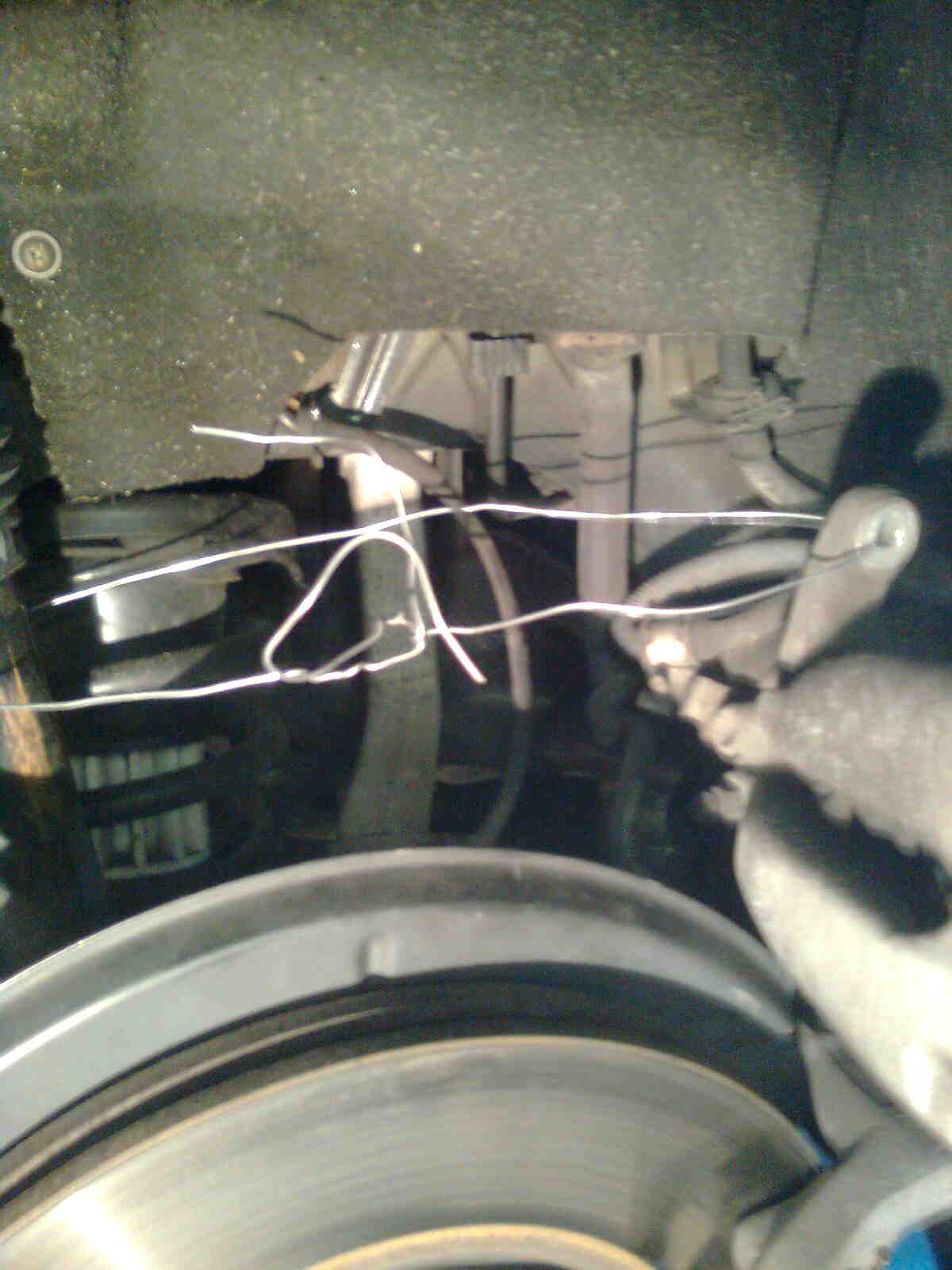 immag0285.jpg