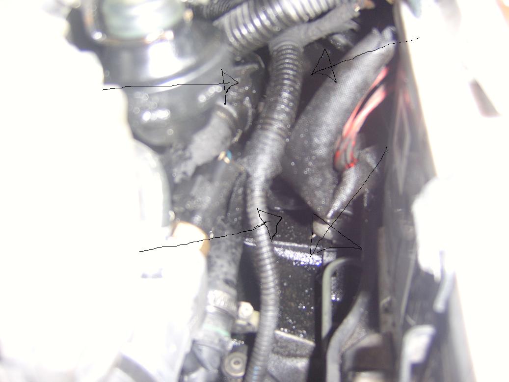 sta50004 2.jpg