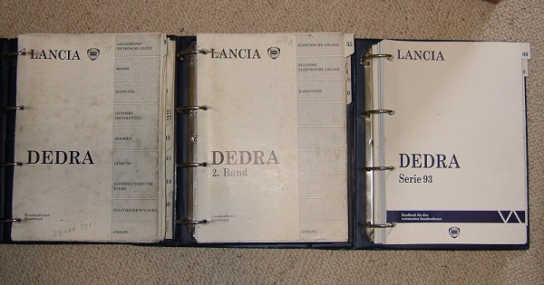 dedra11.jpg