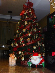 pict0240.jpg