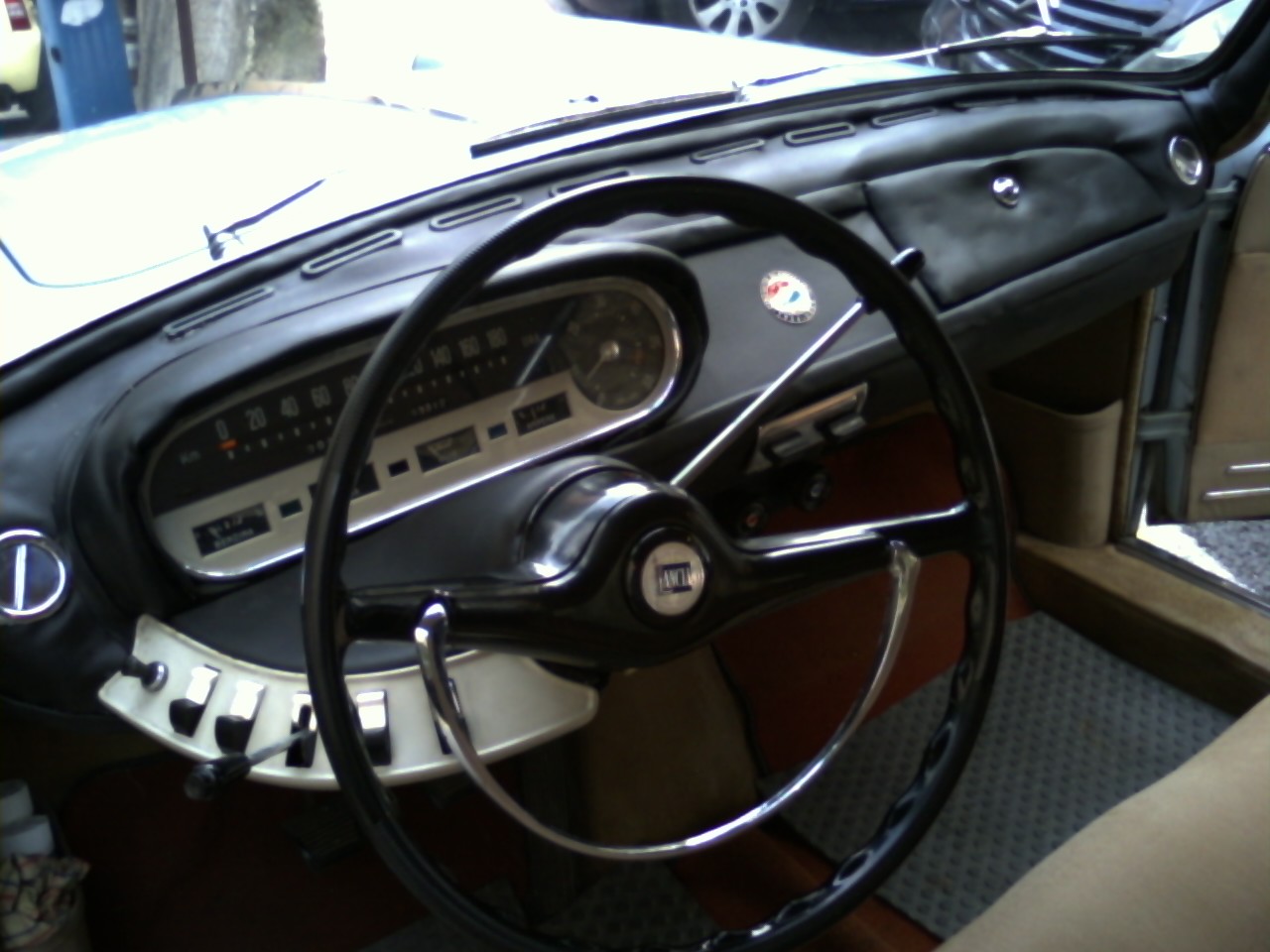 crusc.flavia1.jpg