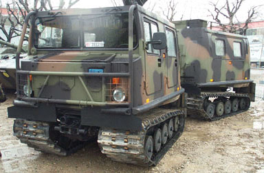 bv206_italiano.jpg