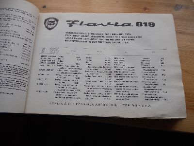 1329043298nflavia2.jpg