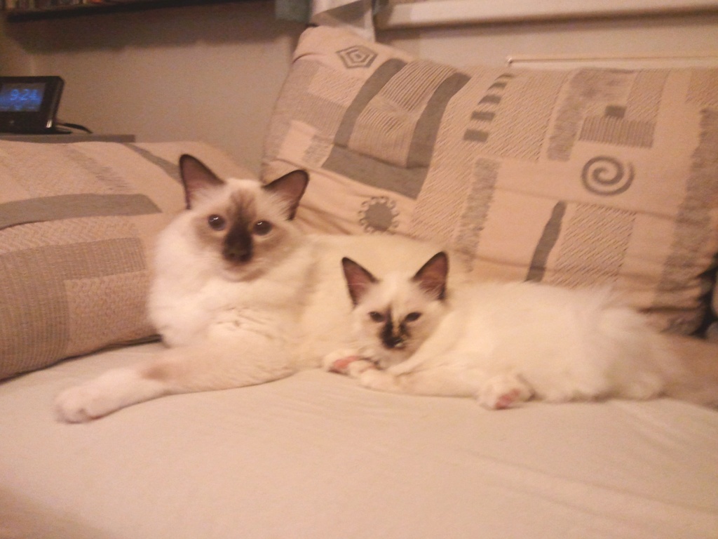 2011-08-02 21.17.24.jpg