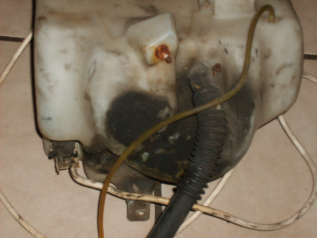 s5003905.jpg