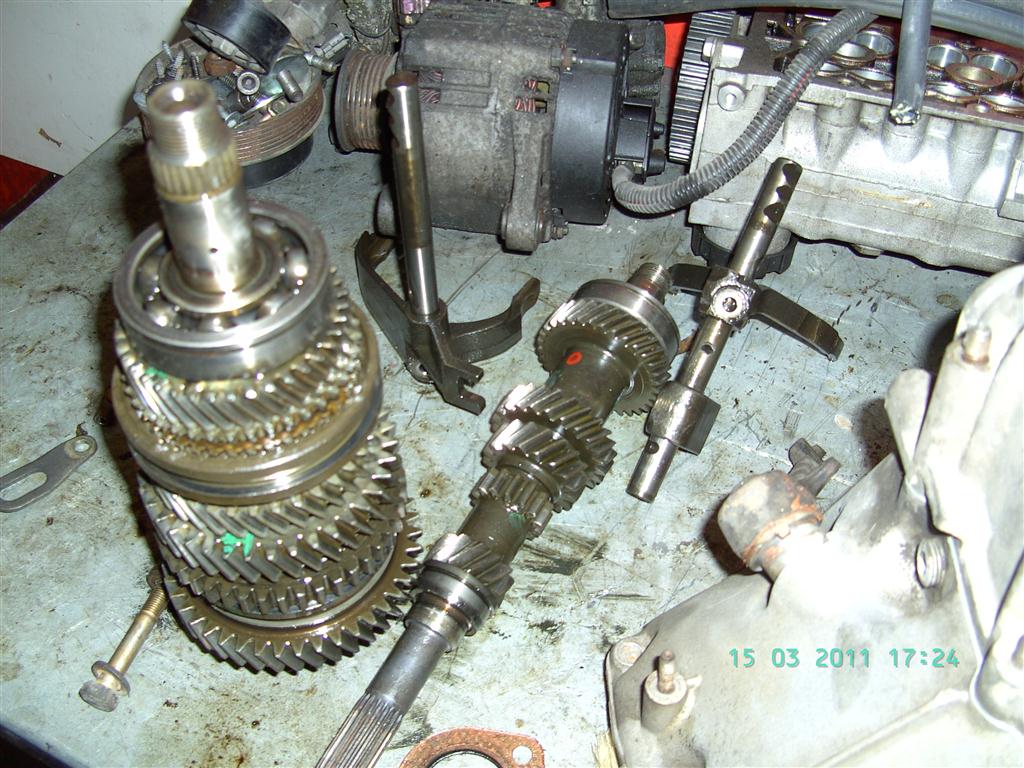 spider märz 2011 012 (mittel).jpg