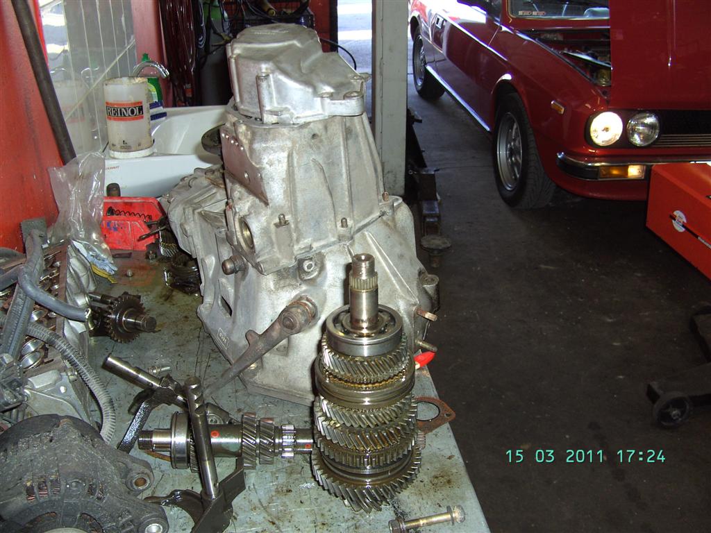 spider märz 2011 011 (large).jpg