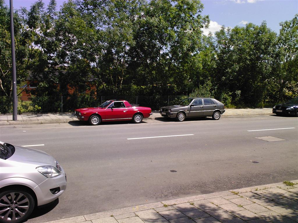 fotos-0059 (mittel).jpg