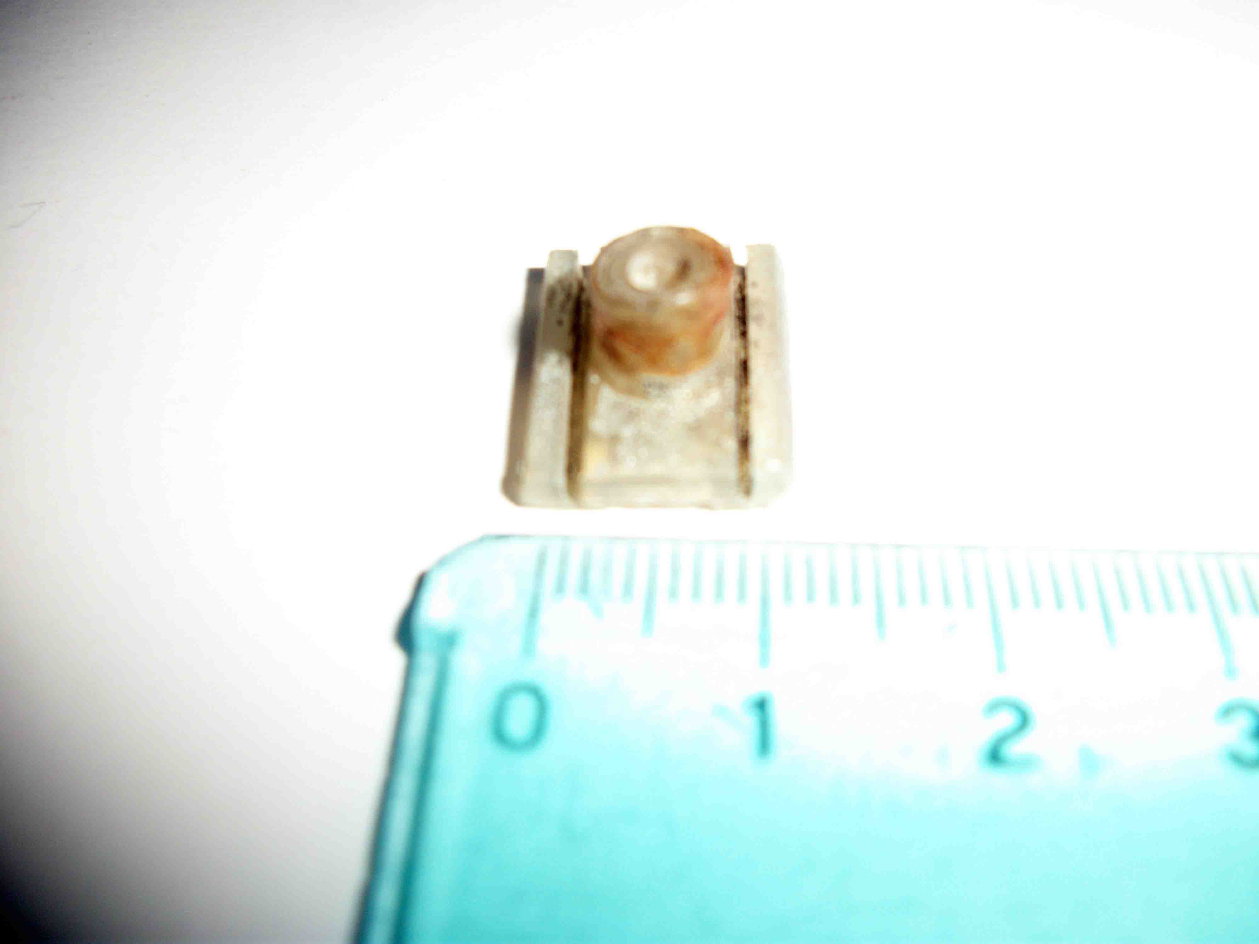 100_7912.jpg
