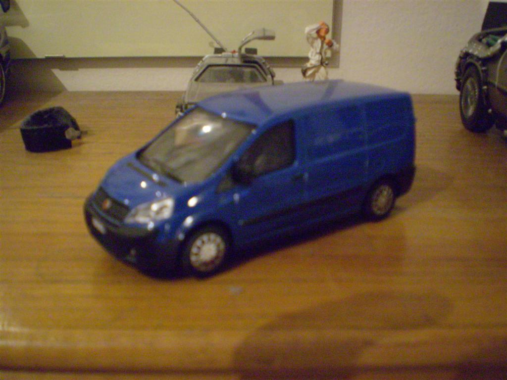 scudo (large).jpg