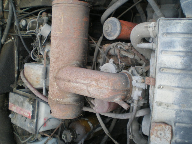 p1010184.jpg
