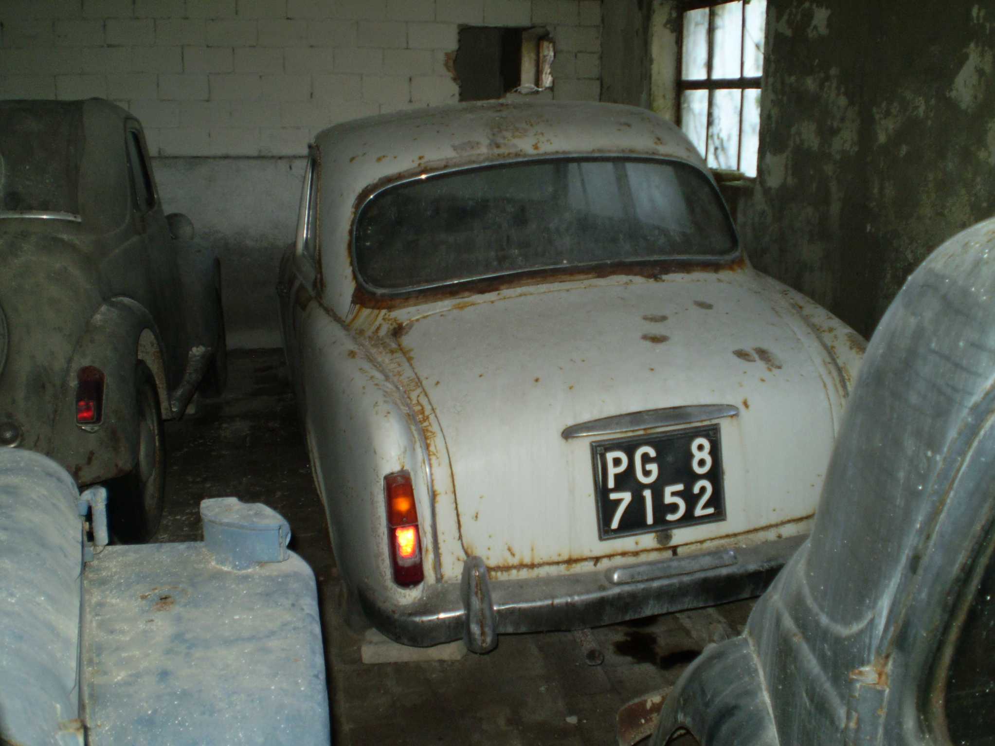 p3120063.jpg