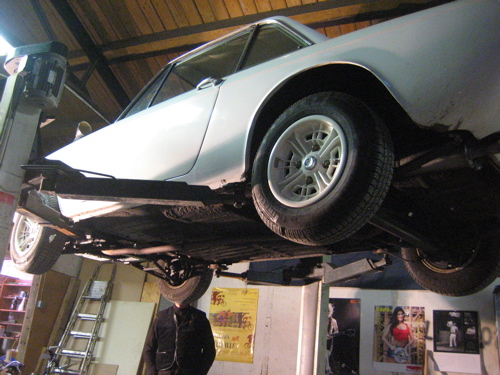 fulvia 2.jpg