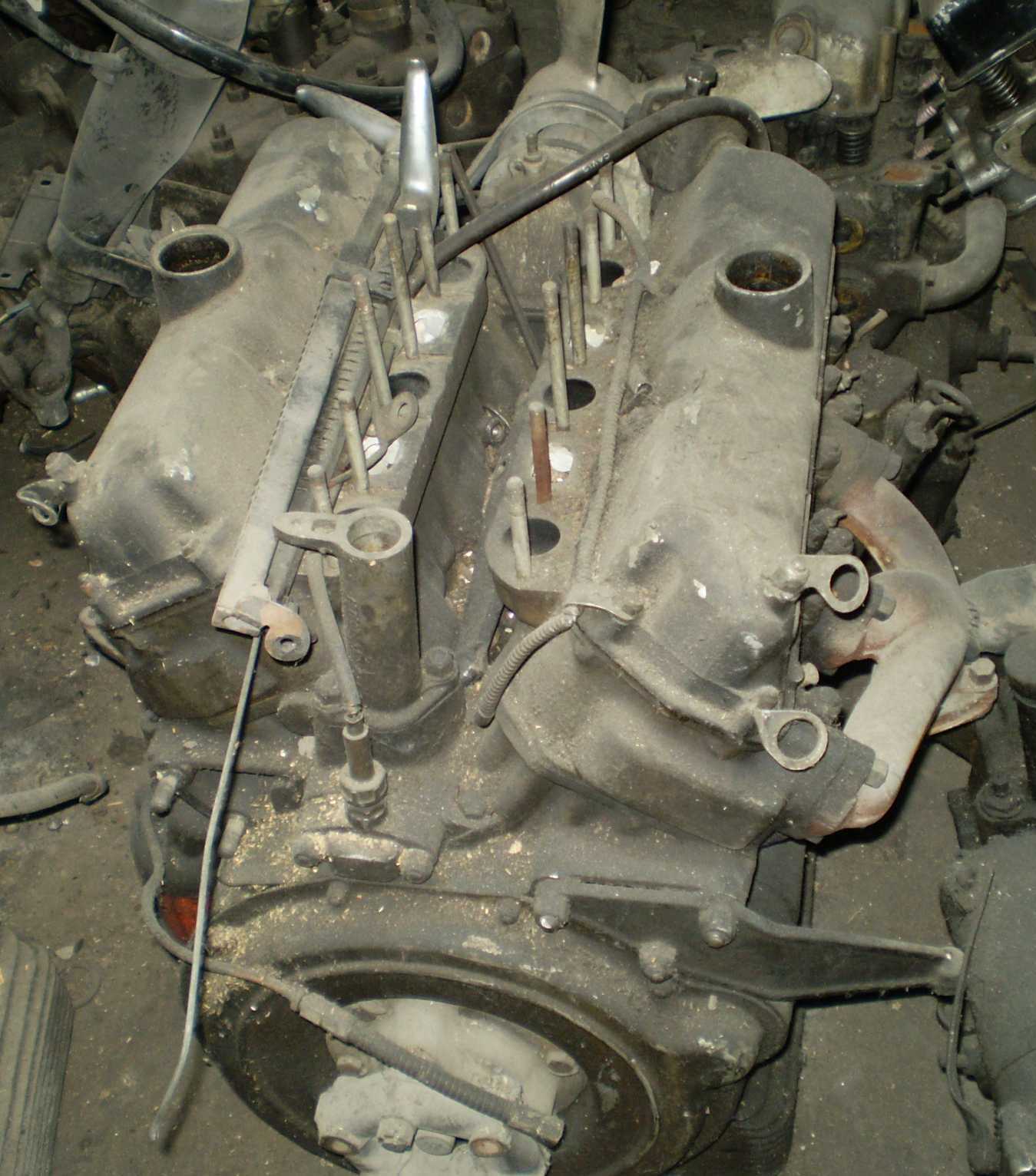 p3140010.jpg