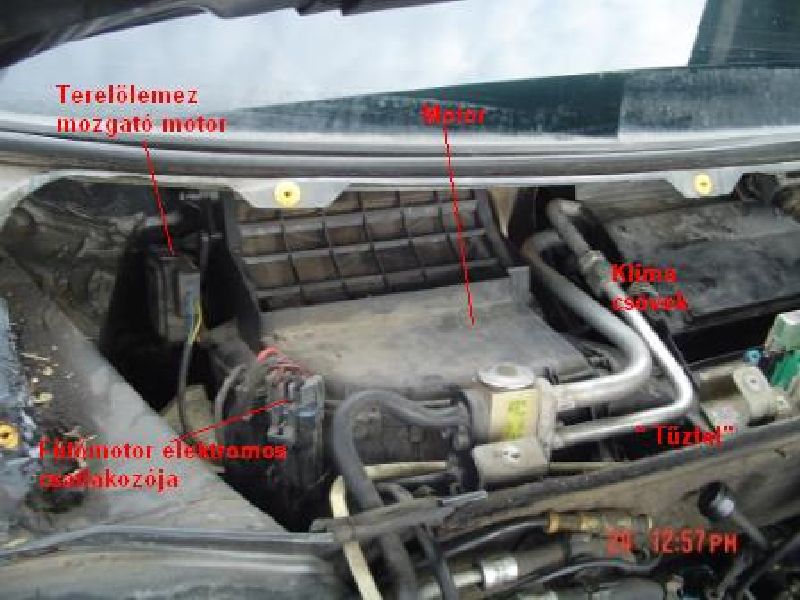 futes4.jpg