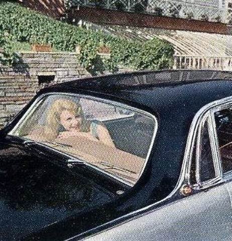 tergi posteriori 2.jpg