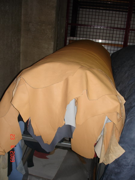 pelle   001_ridimensionare.jpg