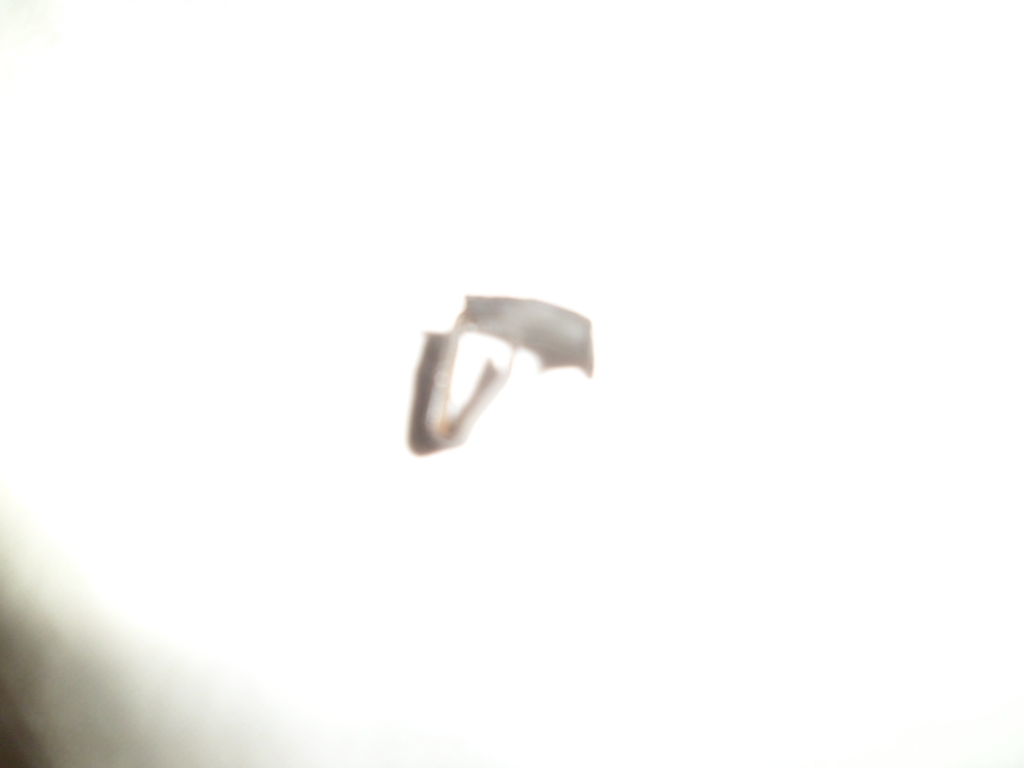 sam_0779.jpg