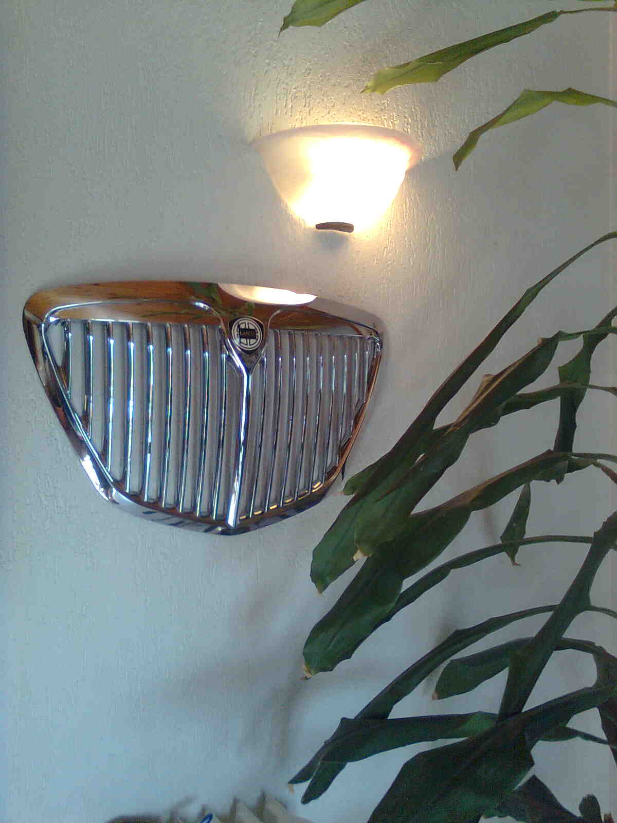 immag0381.jpg