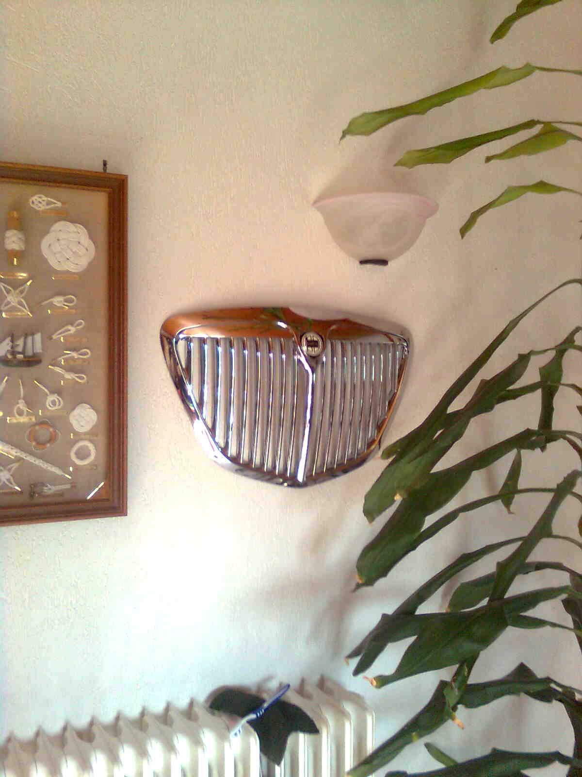 immag0382.jpg