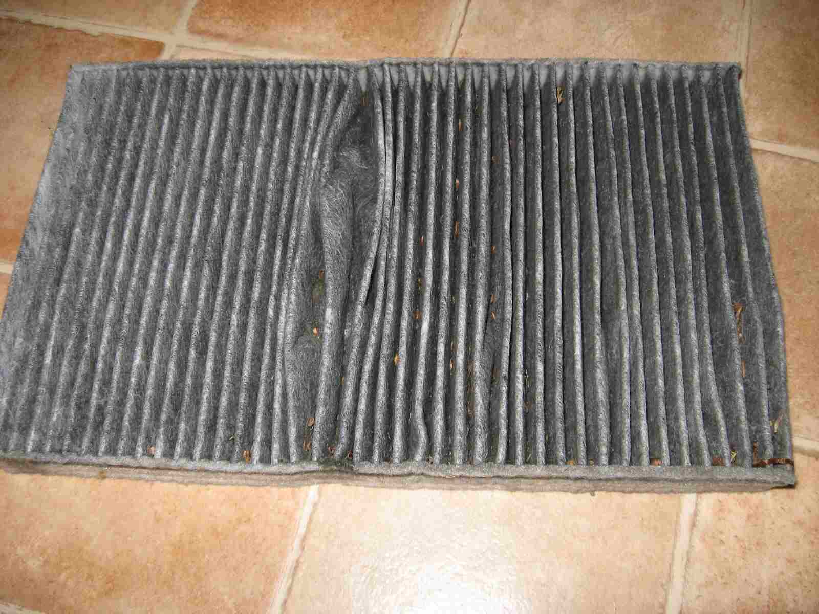 pollenfilter alt vor saugen.jpg
