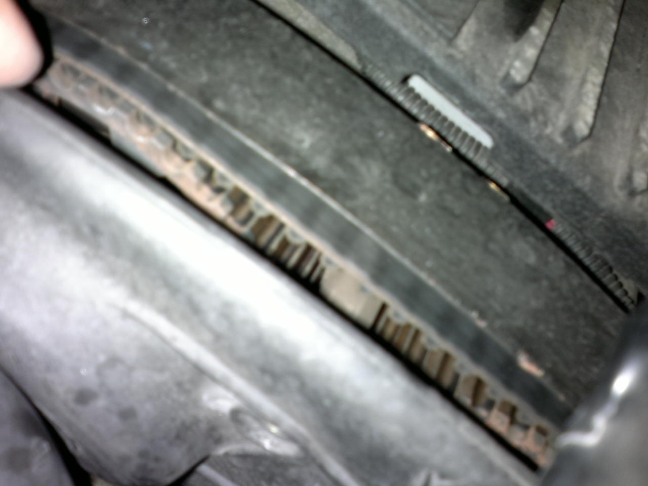 2012-07-28-493.jpg