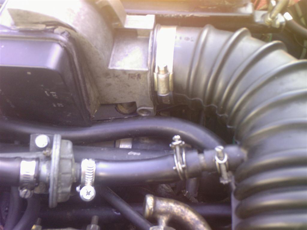 foto-0165 (mittel).jpg