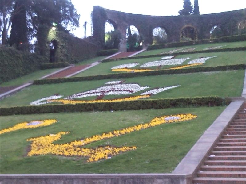 snc00026 (medium).jpg