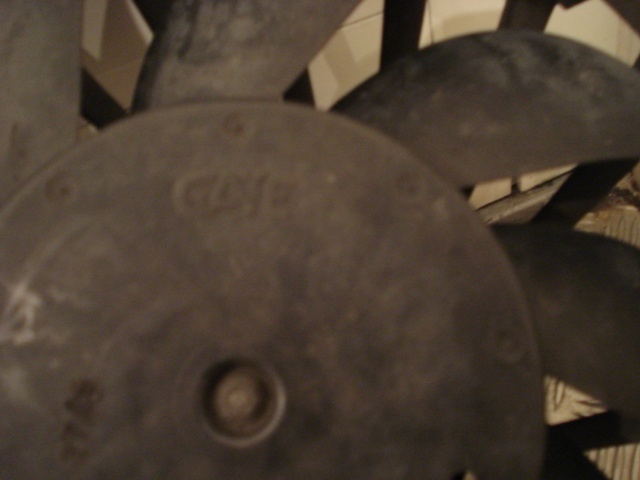 dsc03250.jpg