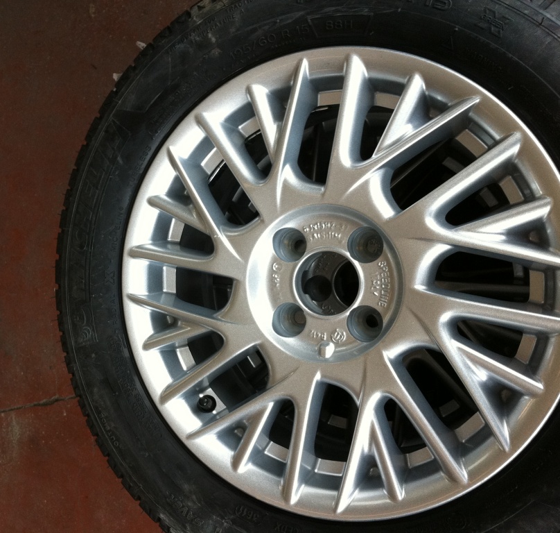 musa 010.jpg