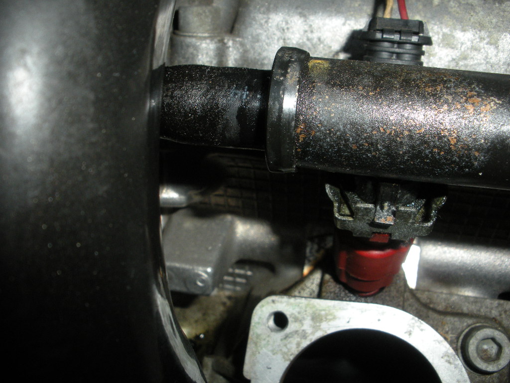immagine_totale 1110.jpg