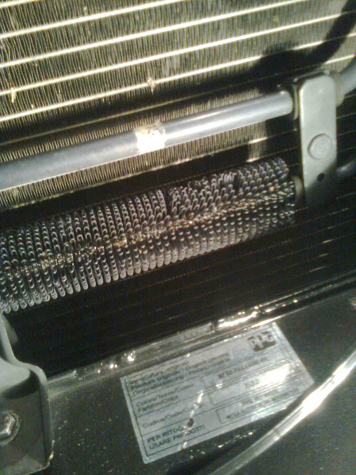immag0416.jpg