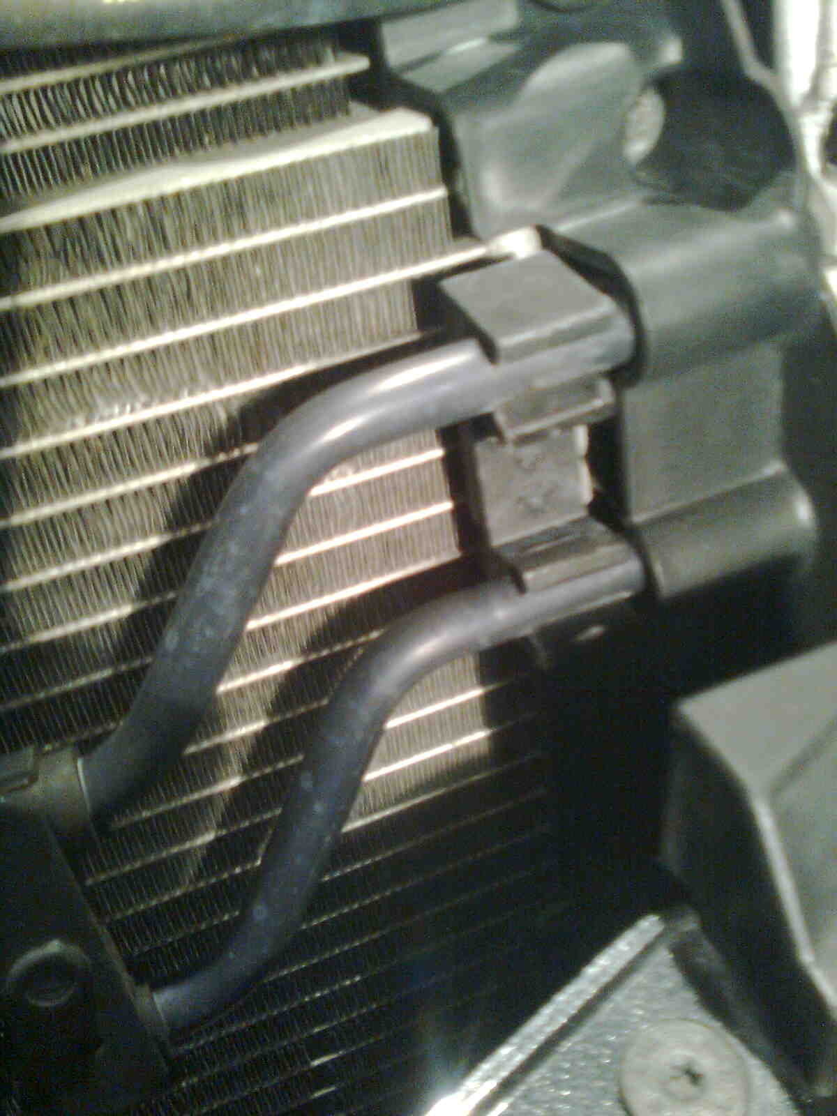 immag0415.jpg