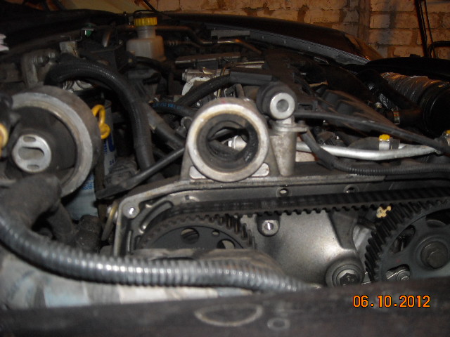 dscn9565.jpg