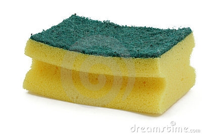 spugnetta lava piatti.jpg