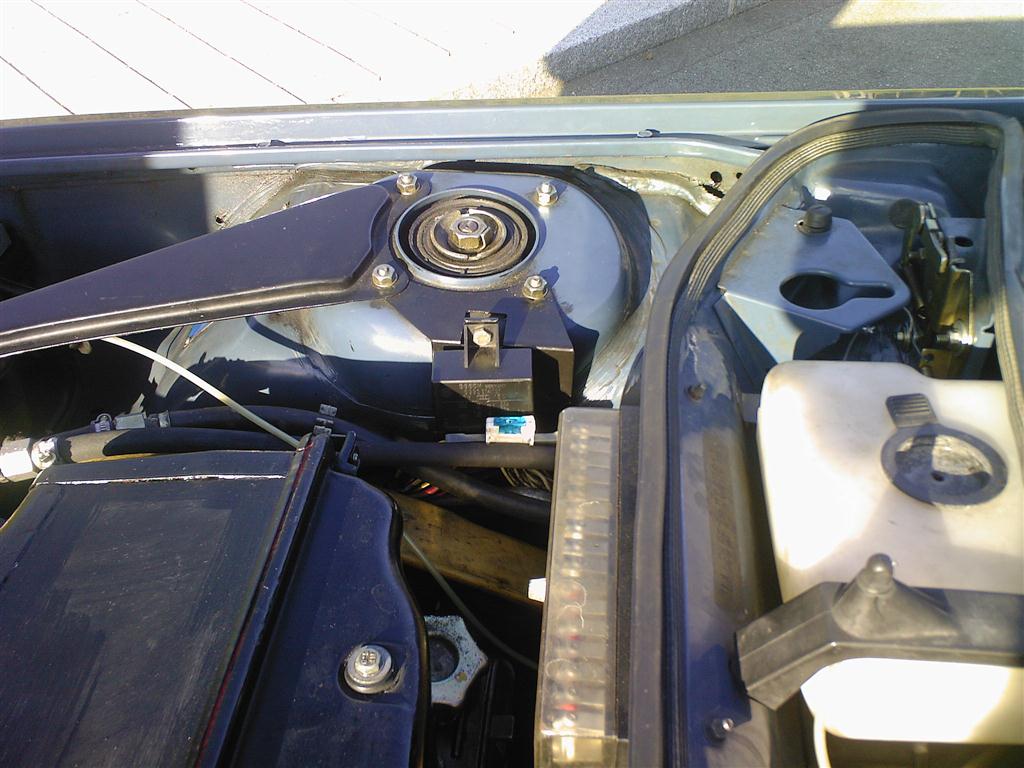 foto-0164 (mittel).jpg