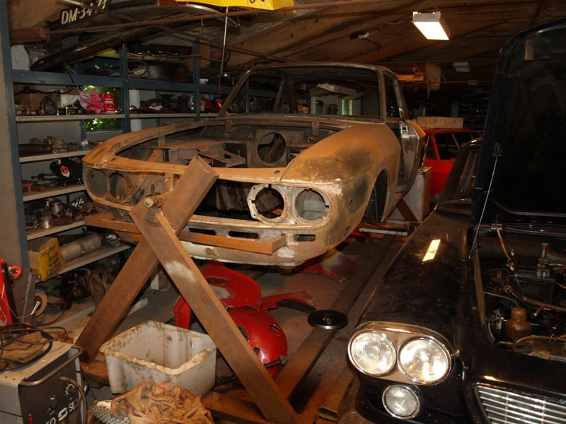 fulvia body 2.jpg