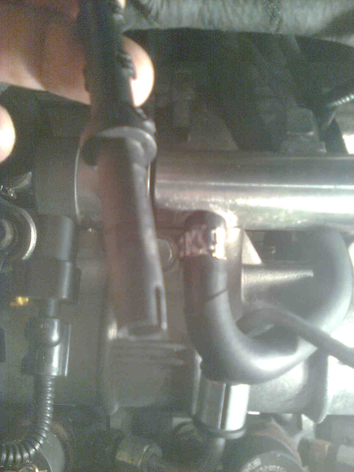 immag0419.jpg