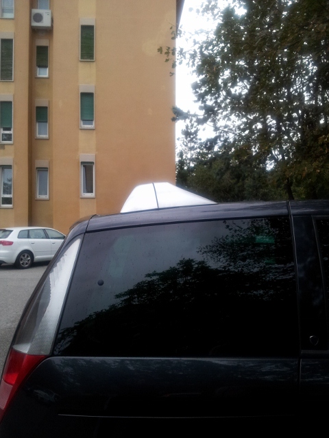 20121015_174709 (480x640).jpg