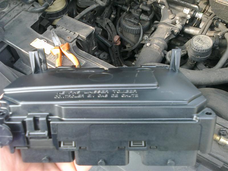 foto0542 (medium).jpg
