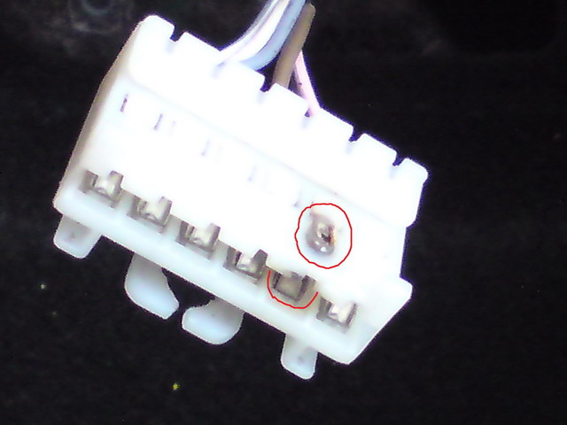 musa_connettore posteriore gruppo luci.jpg