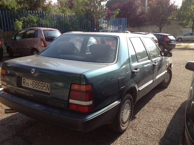 image5.jpeg
