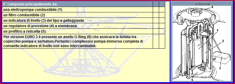 cattura.jpg