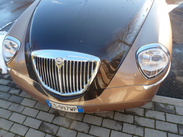 p1020049 (fileminimizer).jpg