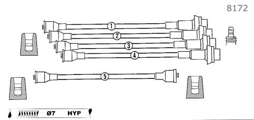 8172.jpg