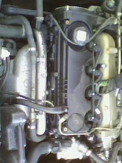 img0019a.jpg