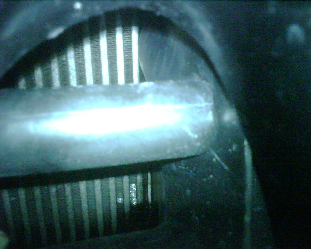 img00563.jpg