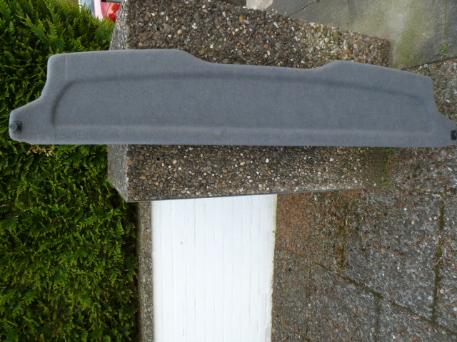 p1000557.jpg