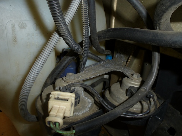 p1070151.jpg